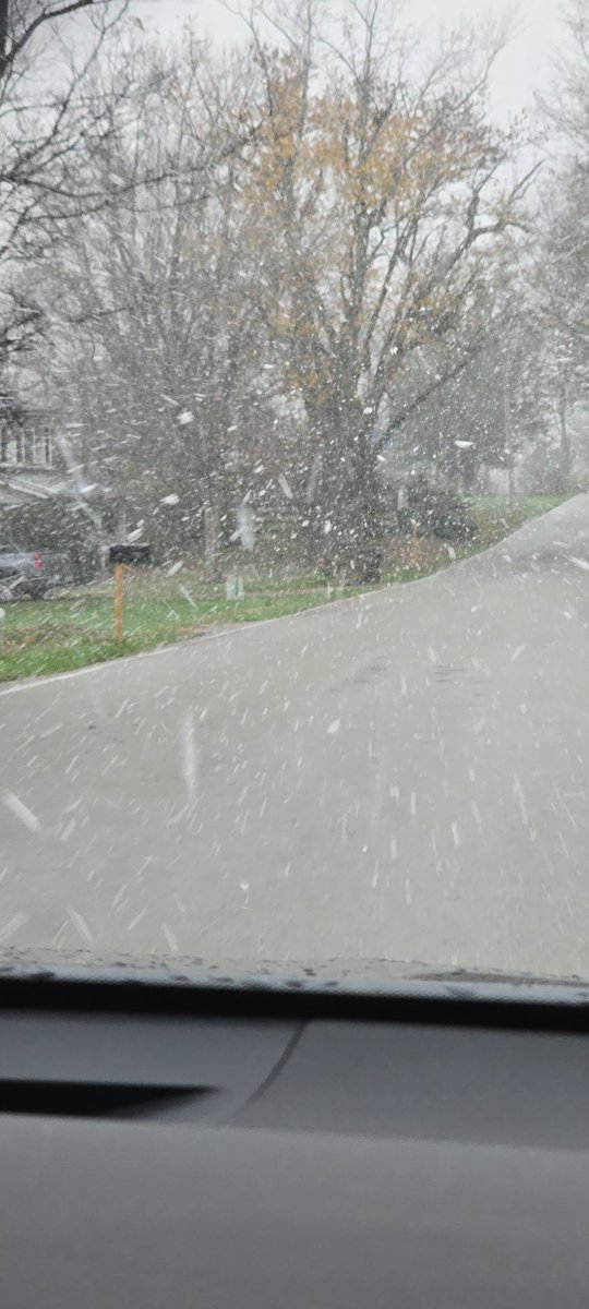 LeeTonya2018's tweet image. Okay all you snow lovers.... It's snowing! Can we go on to #spring now... Sincerely, #hatebeingcold @Kentuckyweather