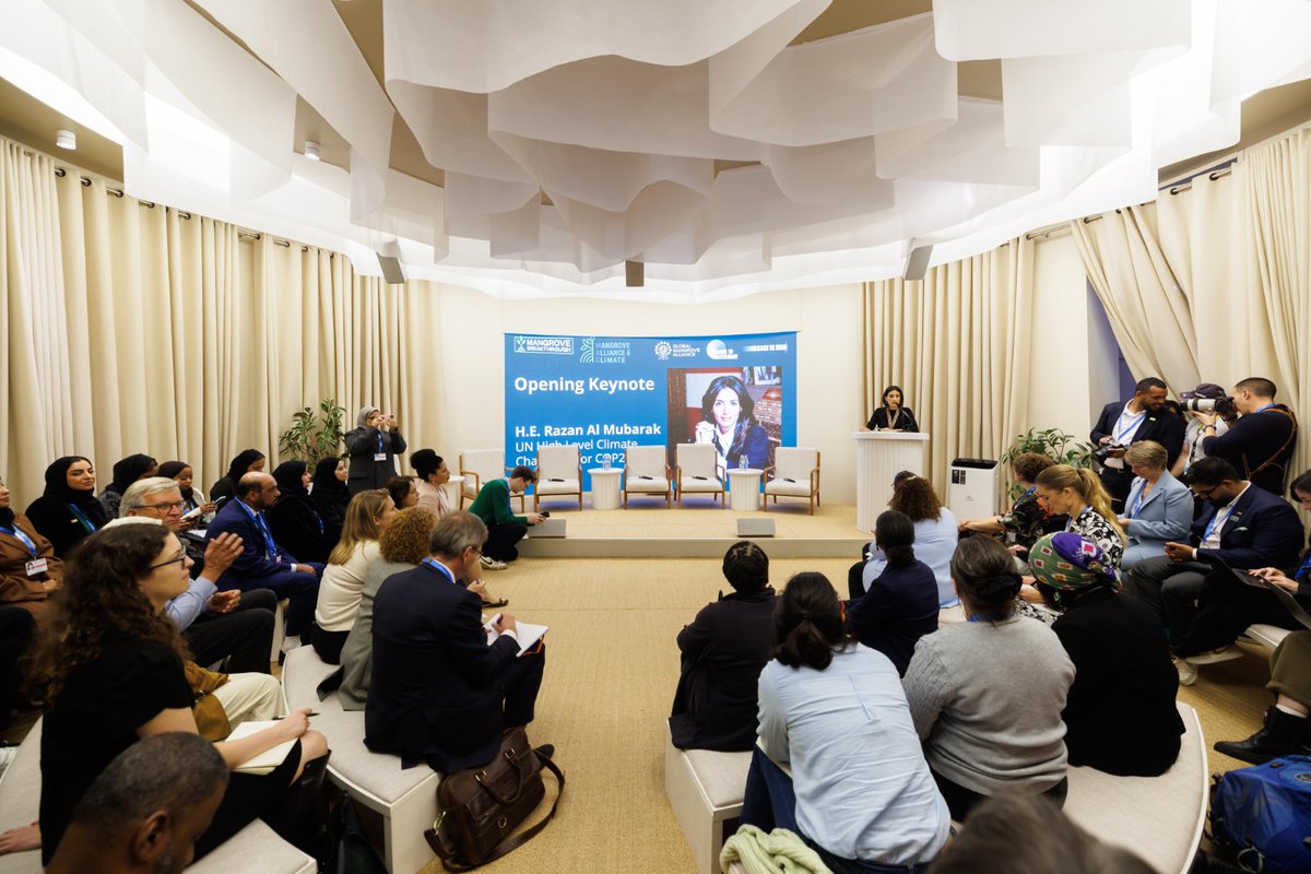 COP28 UAE tweet media