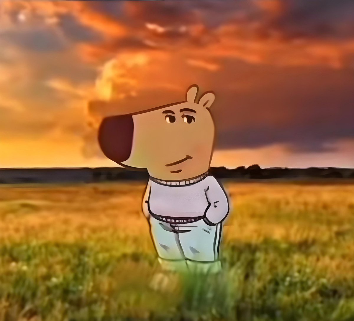 varios hablando mal d mi, y yo esperando mi spotify wrapped 2024 así: