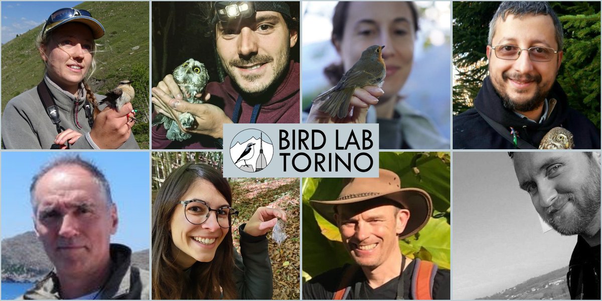 We’re leaving X for good, but you can follow our updates on Instagram, Facebook and LinkedIn!

Find our lab @BirdLabTorino and its members on Bluesky and other social media! 🚀🐦‍⬛ We share insights on #alpineecology, #urbanecology, and #citizenscience. Don’t miss out! 🏔️🌆🔬