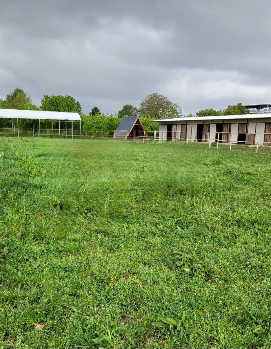 Şuan boş duran 20 box kapasiteli çiftliğimizde,
Yurt Dışından gelecek kısraklarına KARANTİNA hizmeti almak isteyen yetiştiriciler için 40binTL aylık herşey dahil hizmet verilmektedir. 

Farklı ülkelerden, farklı araçlarla gelen kısraklar ayrı ayrı karantina edilmektedir.