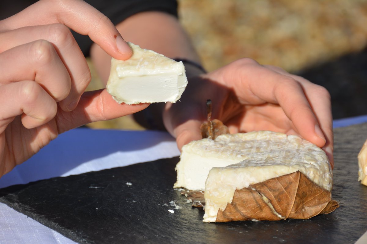 🥳 Un grand jour !✨Le Mothais sur feuille officiellement en AOC ! 🎉😀 L’INAO a confirmé aujourd’hui l’obtention de ce #label #qualité pour ce fromage de chèvre remarquable, affiné sur une feuille de châtaignier, ancré dans son terroir #poitou #aoc @Rexcap_NA <a href="/AnicapNa/">ANICAP Nouvelle-Aquitaine</a> #fromage