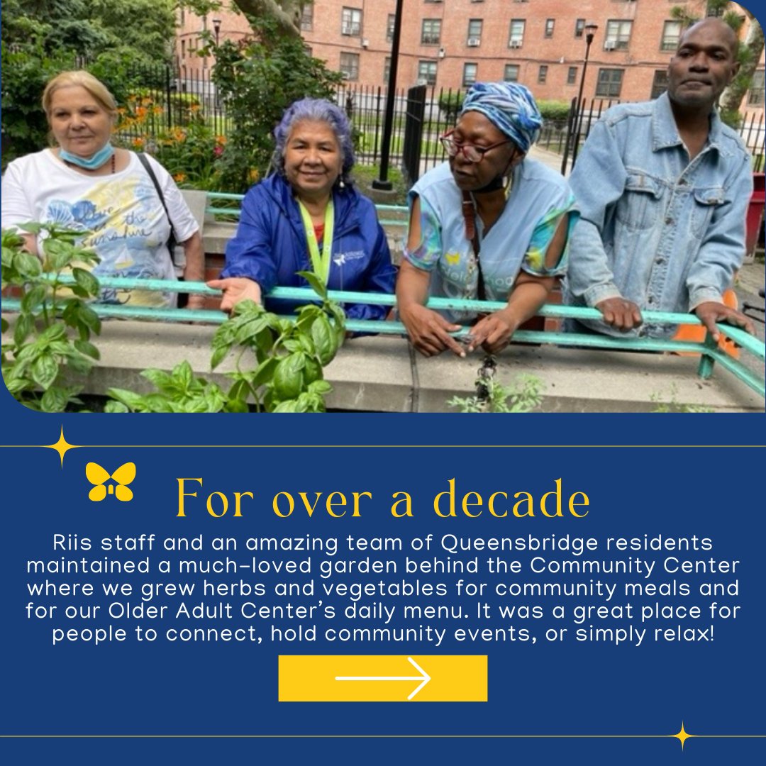 Riis_Settlement's tweet image. Be a part of making our community garden—and the Queensbridge community—flourish. Donate here: donate.seedmoney.org/10137/jacob-a.… or the link in our bio. Thank you for your support! 🌱