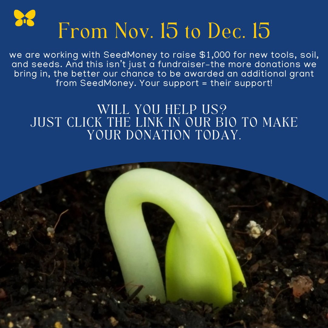 Be a part of making our community garden—and the Queensbridge community—flourish. Donate here: donate.seedmoney.org/10137/jacob-a.… or the link in our bio. Thank you for your support! 🌱