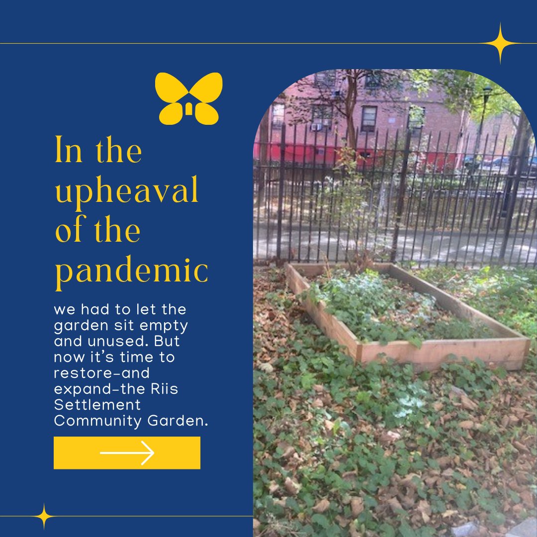 Riis_Settlement's tweet image. Be a part of making our community garden—and the Queensbridge community—flourish. Donate here: donate.seedmoney.org/10137/jacob-a.… or the link in our bio. Thank you for your support! 🌱