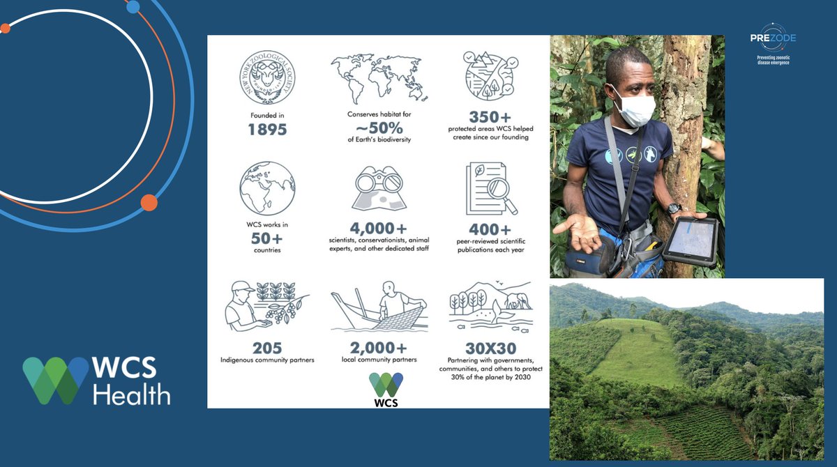 WCS EU office tweet media