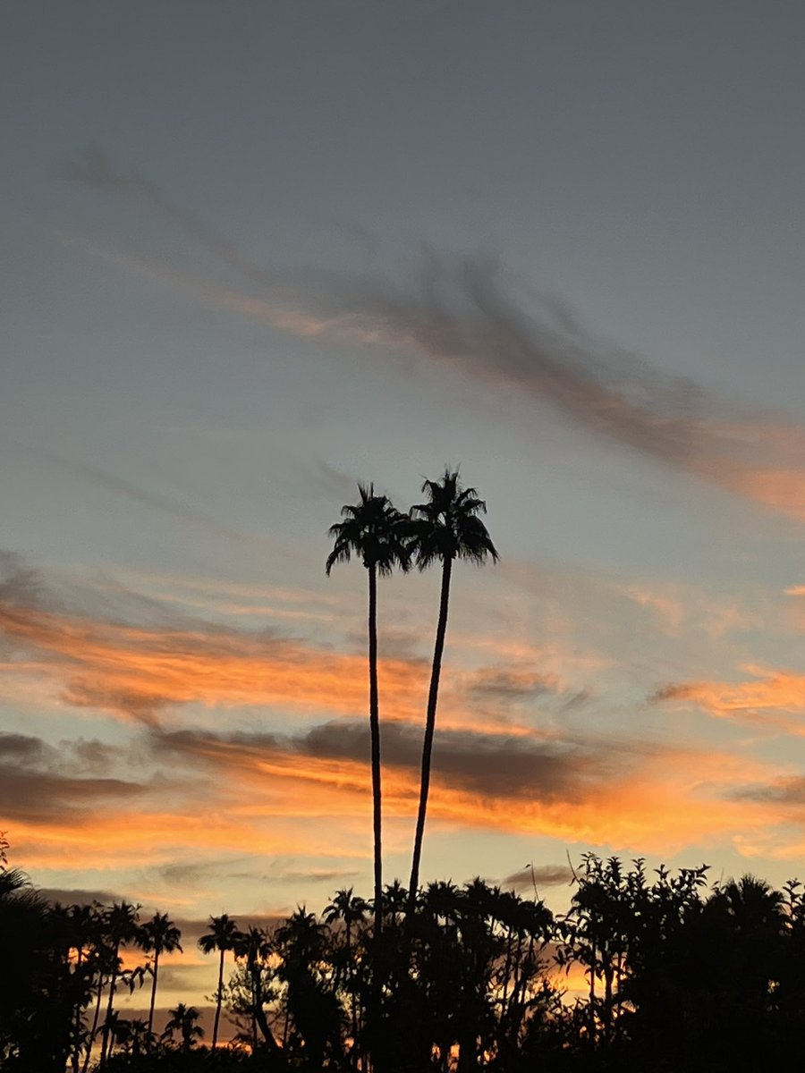 Beautiful #Thursday #Morning in #PalmSprings #Cali! 🌴💚🌴💚😎😎 #michaelkuluva