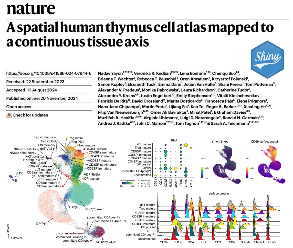 To make our fantastic CITE-seq data set of postnatal thymocytes accessible to the community, we have launched a shiny web app for interactive exploration. Go check it out! ccgg.ugent.be/shiny/htsa_thy…
Moreover, scRNA-seq and Visium spatial data can be found at cellxgene.cziscience.com/collections/fc…