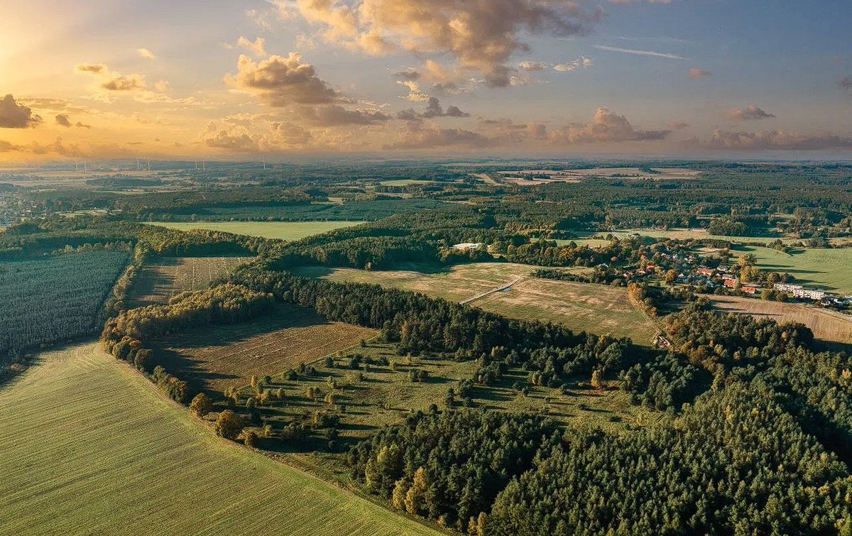 Poland Coin 🇵🇱 tweet media