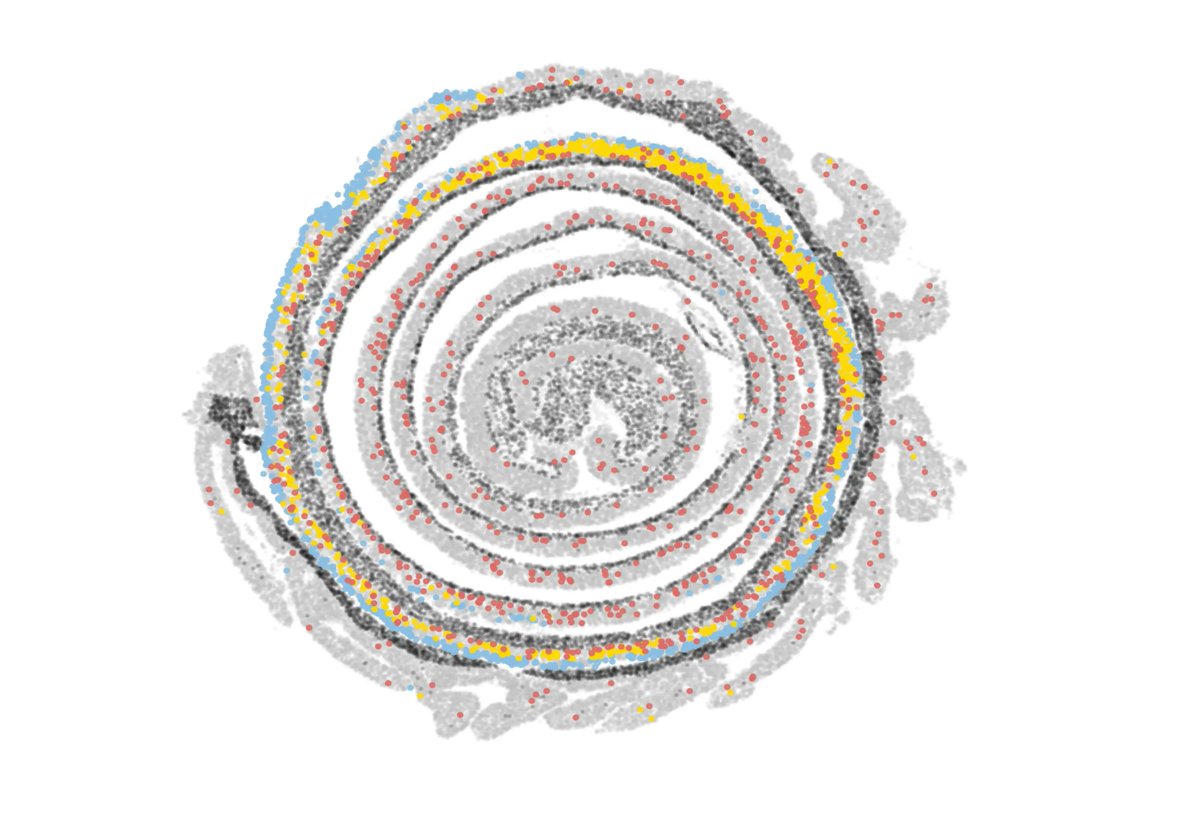 The intestine maintains a delicate balance in the body. This equilibrium is disrupted in parts of the organ in some diseases, but scientists don’t fully understand why. Now, researchers have created a blueprint of the gut that could address these questions broad.io/ImmuneSystem-I…
