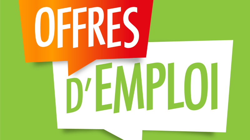 Des offres d emplois vous attendent ici 👇🏿👇🏿👇🏿
ekolo242.cg/emploi/  
#Congo #Ekolo242