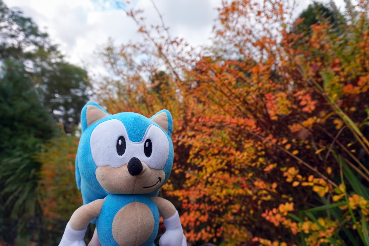 SEGA tweet media