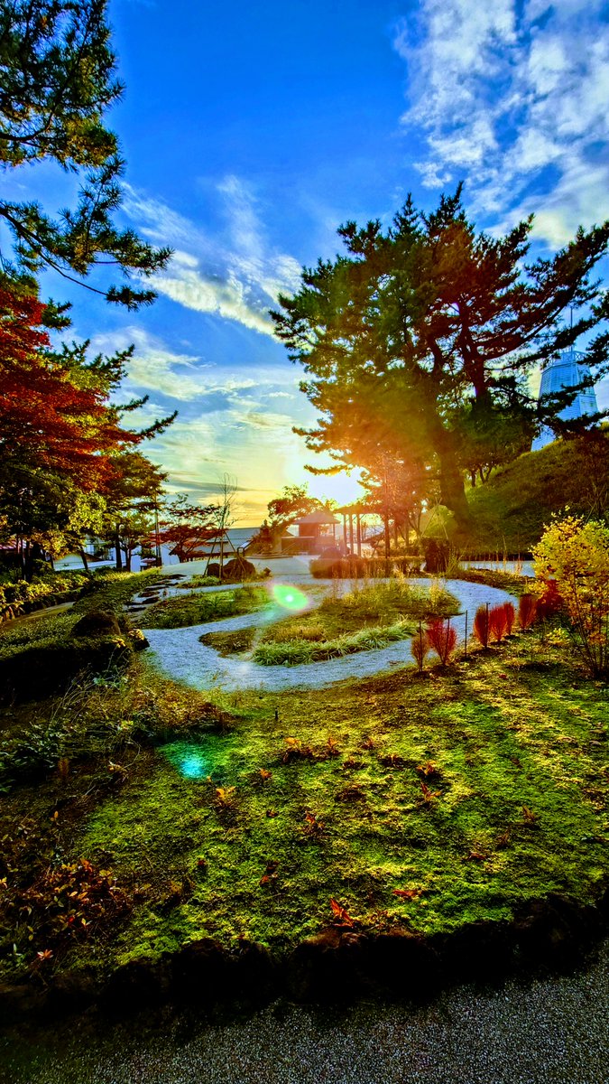 mvkqV4BWpFRLset's tweet image. 🌄眩しい✨️湊庭園🏡秋散歩🍁