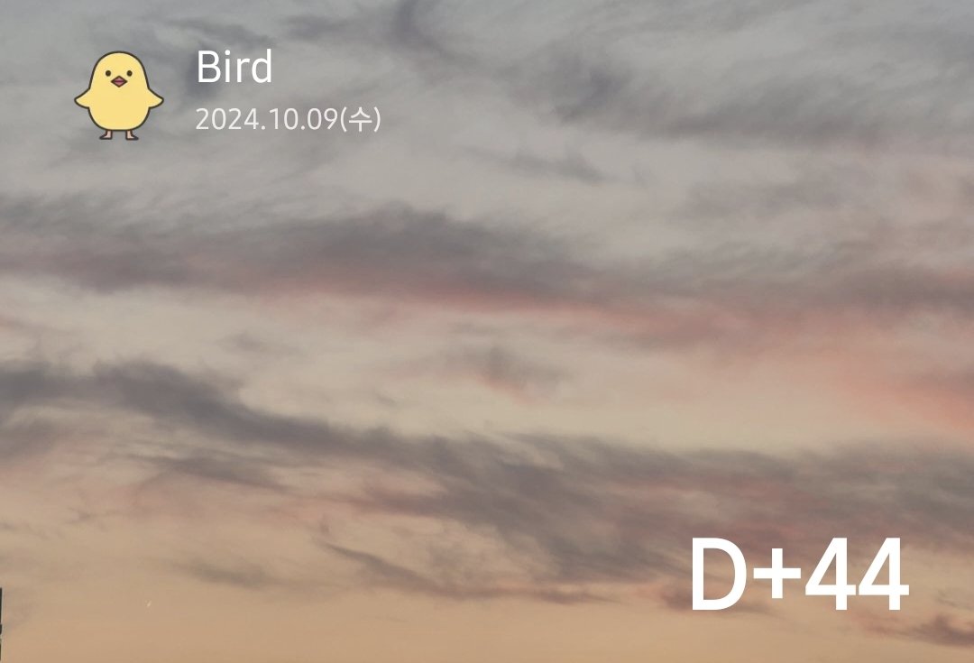 SECbirdwithblue's tweet photo. 동양 쪽에선 불길한 숫자라고들 했던가요? 오늘 하루 조심해야겠어요. 뭐가 올 지 모르니. https://t.co/lVyoRsHmKQ