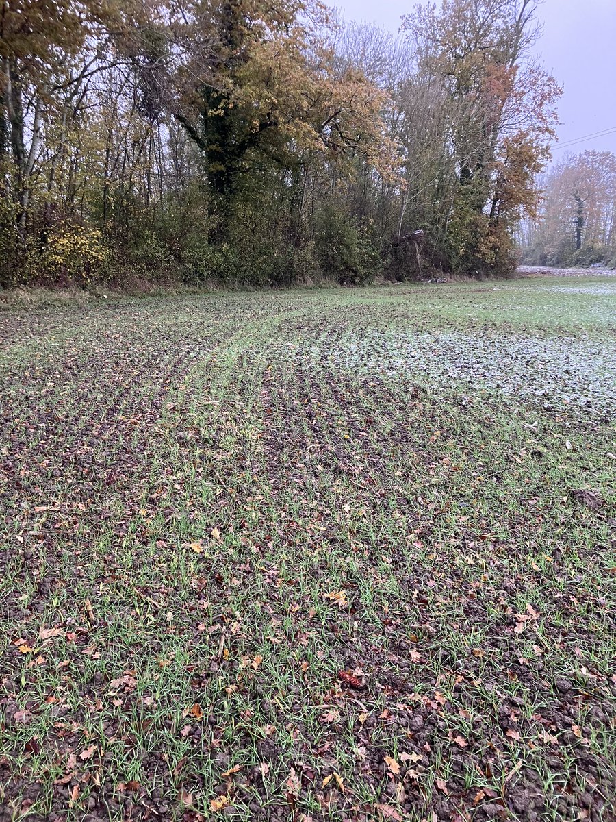 Jonathan Thévenet tweet media