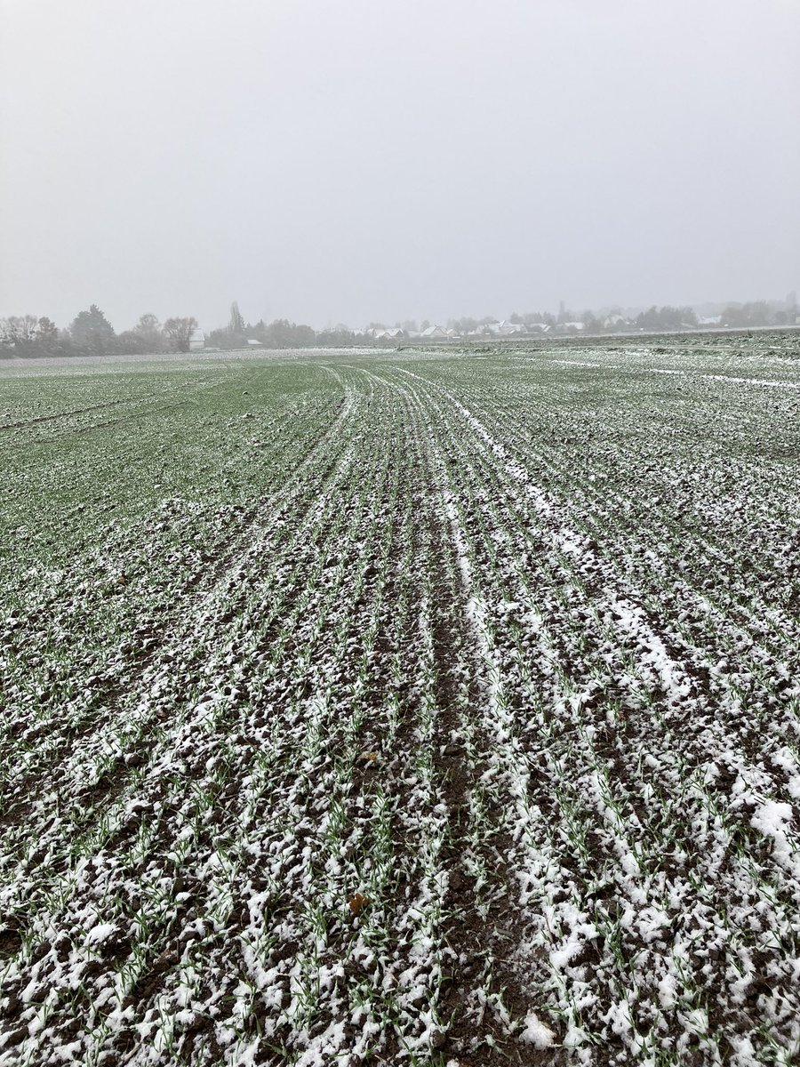 Jonathan Thévenet tweet media