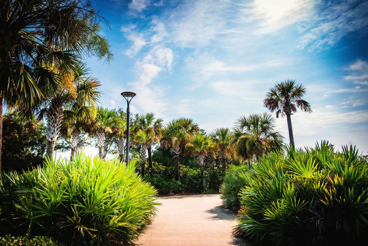 There are lots of interesting bits of history to be found in Pensacola. This month, we’re taking a look at eight fun facts about the city on the blog. jerrypatedesign.com/8-fun-facts-ab…

#pensacola #pensacolahistory #pensacolafunfacts #funhistoryfacts #jerrypatedesign #pensacolabusinesses