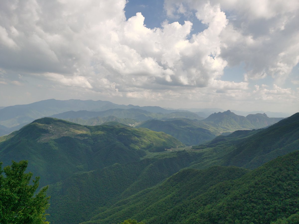 高山流水觅知音，云里雾里点关注，互关互赞等你哟