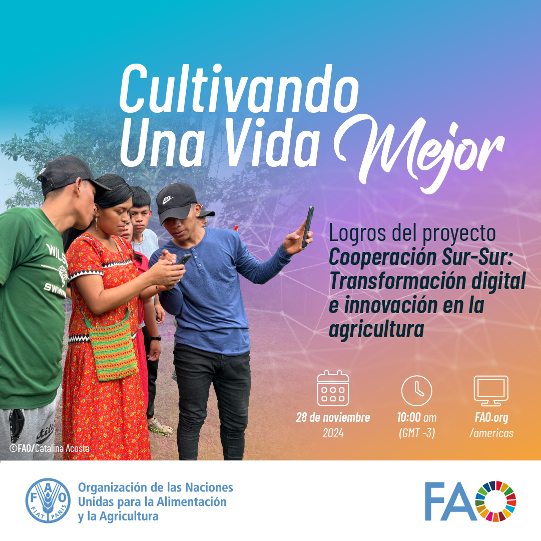 FAO_AgriFam's tweet image. 📣¡Únete al evento del proyecto de #CooperaciónSurSur entre @FAO, la Rep. Popular China🇨🇳 y CELAC!

Descubre la experiencia de las comunidades rurales que participaron en la implementación de iniciativas digitales💻

📺bit.ly/48XgFwa

#UnaVidaMejor #TransformaciónDigital