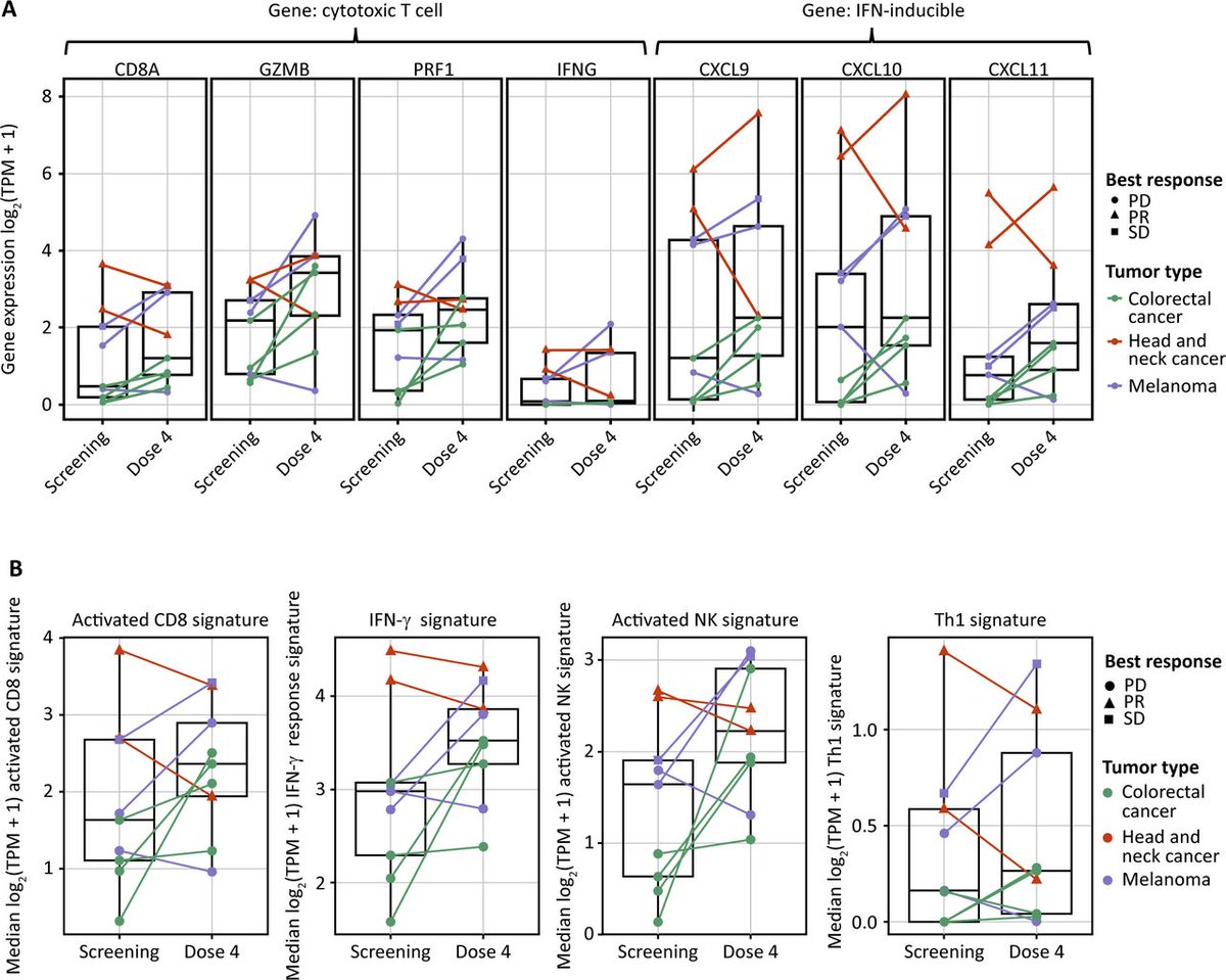Diwakar Davar, M.D. (@diwakardavar) on Twitter photo (2/2) Efficacy of MEDI5395/Durva was low (ORR 10%, DCR 31%). Rx ↑CD8+ TIL density and PD-L1 expression (left), & ↑ cytotoxic T cell and IFN gene expression in tumor (right) - underscoring MoA. <a href="/Farnaldez3/">Fernanda Arnaldez</a>, <a href="/PatelOncology/">Sandip Patel MD FASCO</a>, <a href="/DmitriyZamarin/">Dmitriy Zamarin MD PhD</a> and others. bit.ly/492Miok (2/2) Efficacy of MEDI5395/Durva was low (ORR 10%, DCR 31%). Rx ↑CD8+ TIL density and PD-L1 expression (left), & ↑ cytotoxic T cell and IFN gene expression in tumor (right) - underscoring MoA. <a href="/Farnaldez3/">Fernanda Arnaldez</a>, <a href="/PatelOncology/">Sandip Patel MD FASCO</a>, <a href="/DmitriyZamarin/">Dmitriy Zamarin MD PhD</a> and others. bit.ly/492Miok