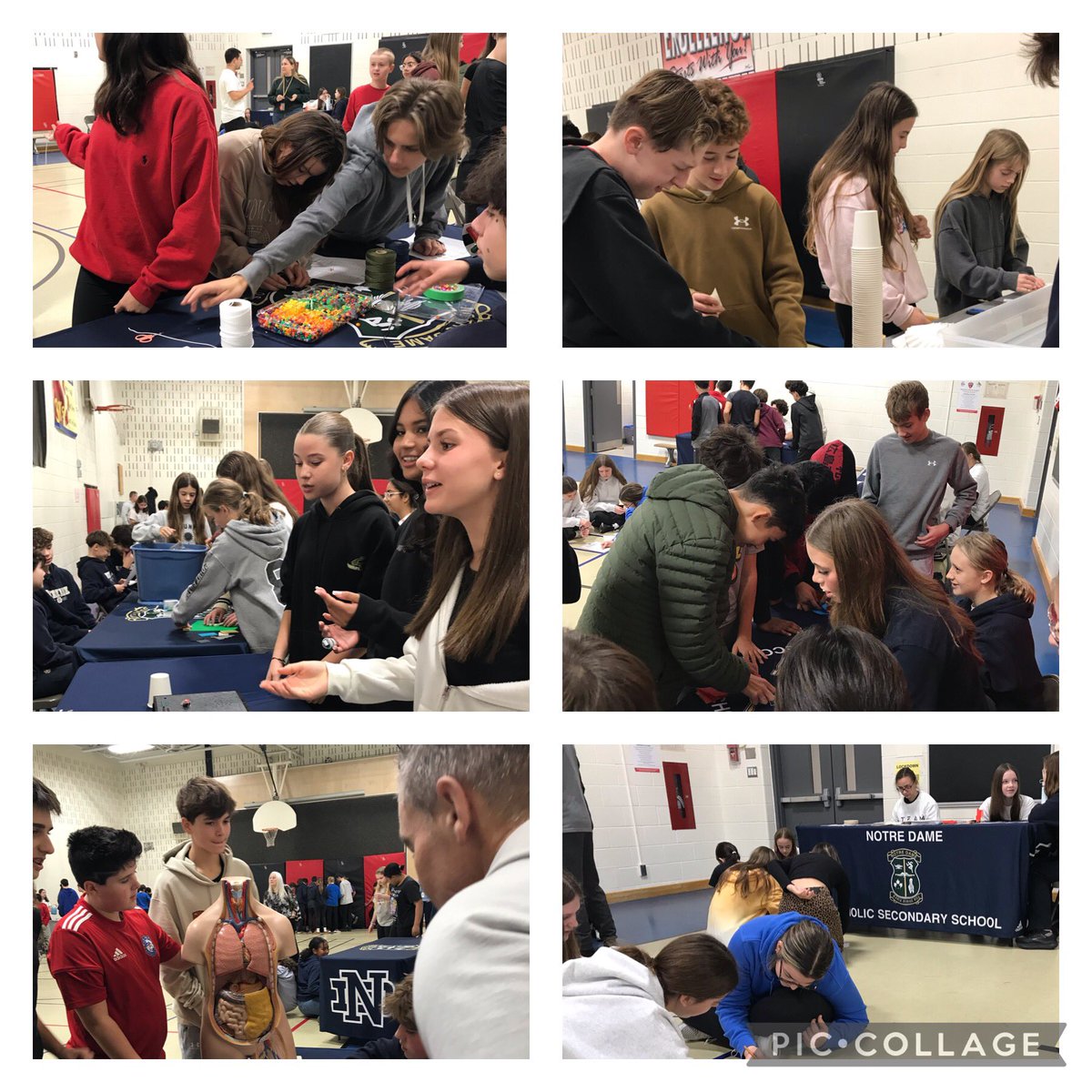 Gifted Group tweet media