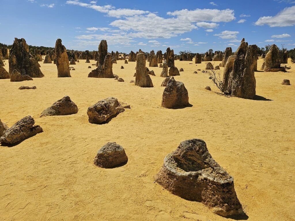 Znanstveni britoff s soavtorjem članka, pogovarjali smo se o raziskovalnih sadovih slovenske ekspedicije v narodni park Namburg na zahodu Avstralije.

Poslušate lahko na povezavi: radiostudent.si/znanost/znanst…

Vir slike: arhiv ekspedicije