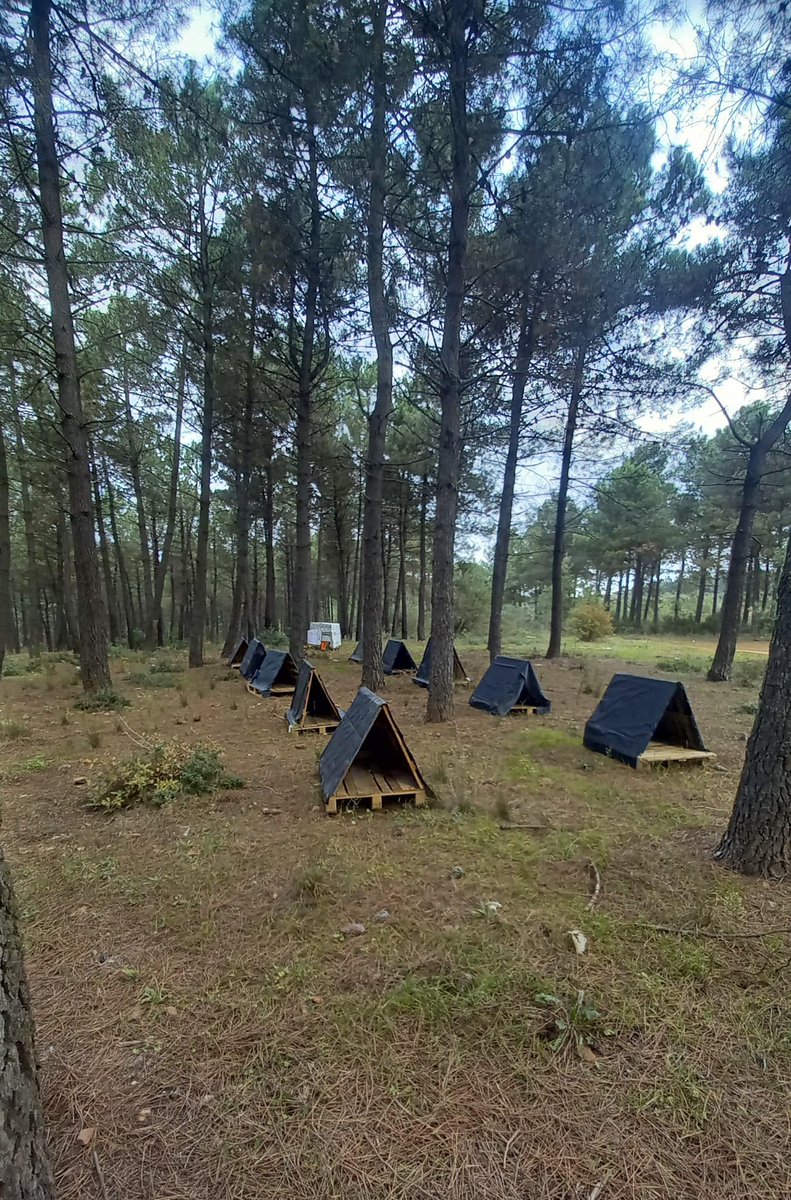 Artık yeni sahiplerini bekliyor ....