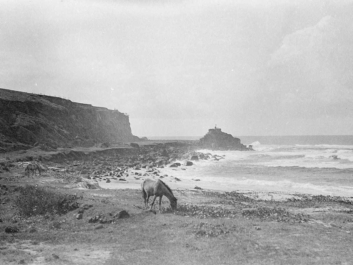 MuseumofBris tweet media