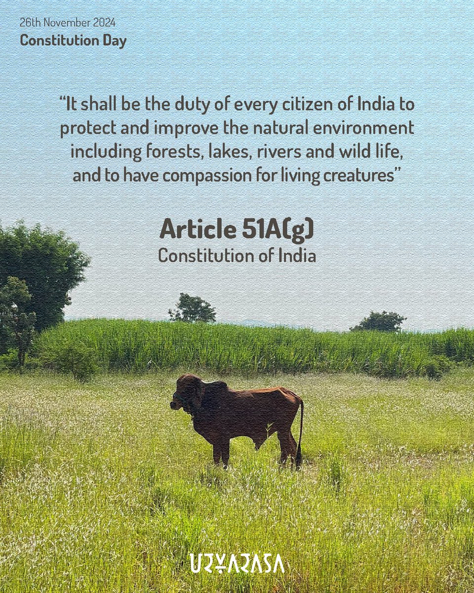 Urvarasa tweet media