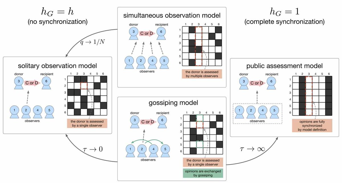 In a new paper published today in <a href="/PNASNews/">PNASNews</a>, <a href="/yohm13/">Yohsuke Murase</a> and I discuss a general framework to make sense of social norms and different indirect reciprocity models. Below is a 🧵, here is the paper: 
pnas.org/doi/10.1073/pn…