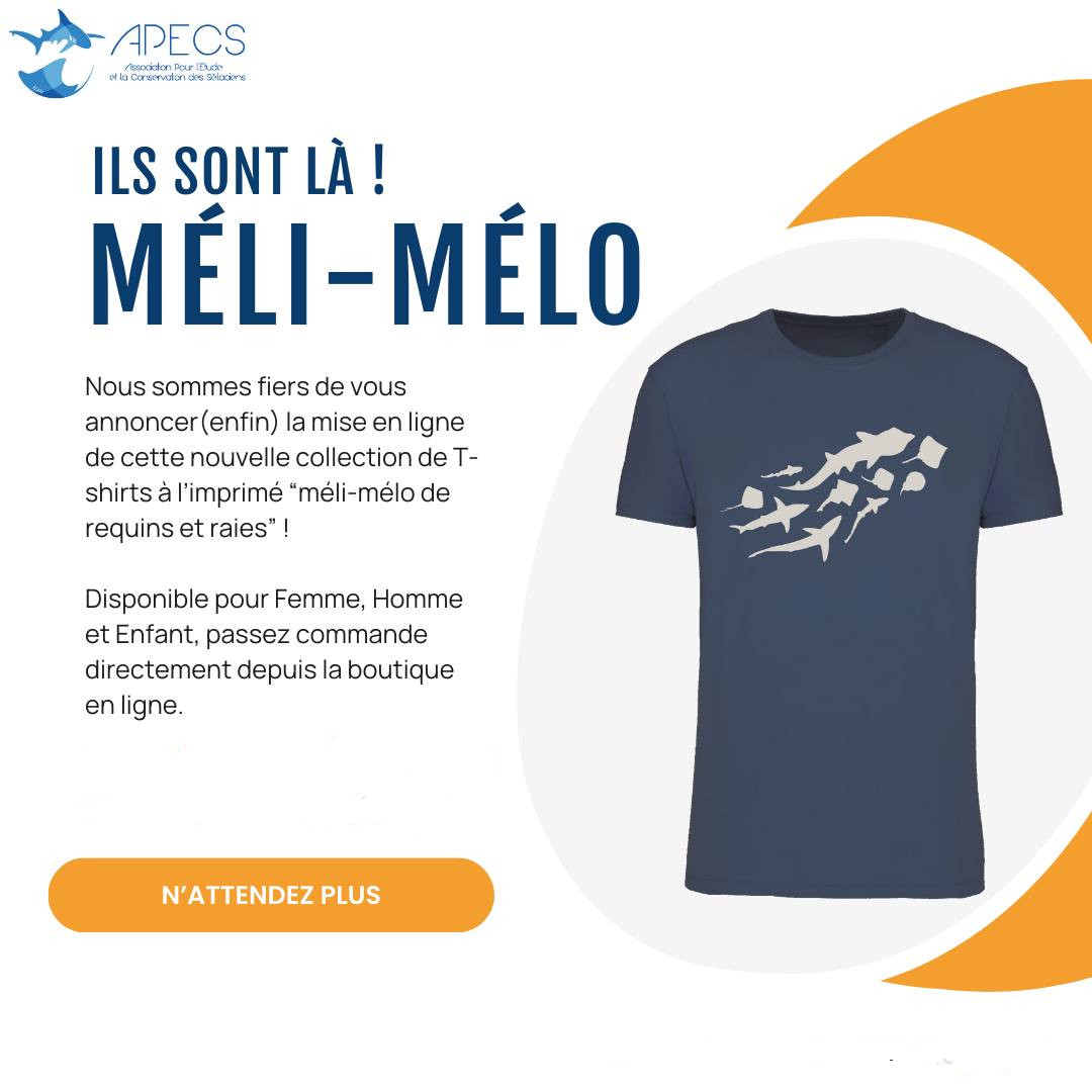 Notre nouvelle collection de t-shirts APECS est arrivée.

Afficher fièrement votre soutien à la cause des élasmobranches en danger, tout en soutenant nos actions de sensibilisation et de protection

boutique.asso-apecs.org/accueil/63-412…