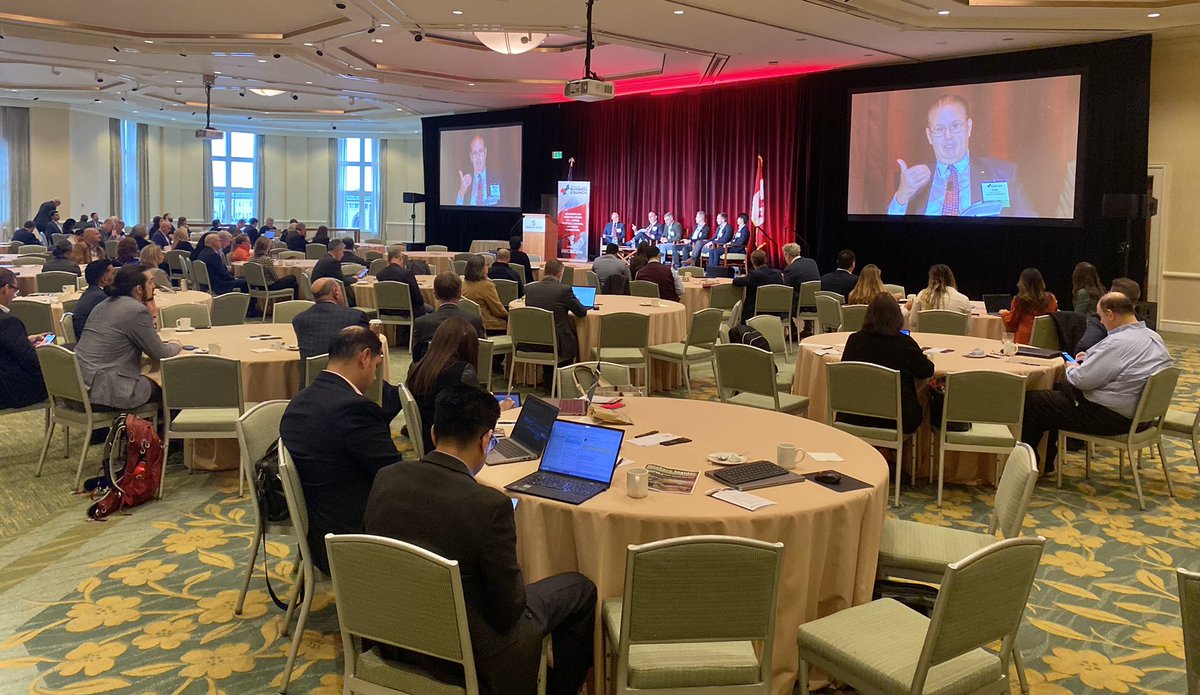 Rudy Cuzzetto 🇨🇦🇺🇦 tweet media