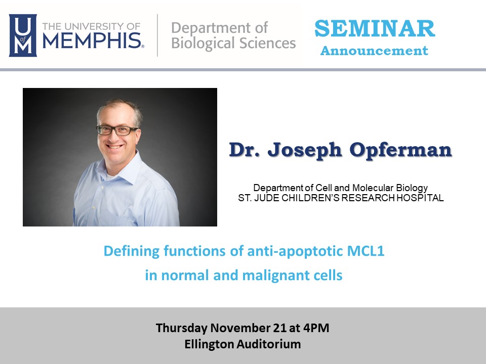Today, Dr. Joseph Opferman from St. Jude Children's Research Hospital will join us for seminar.  His talk is titled, “Defining functions of anti-apoptotic MCL1 in normal and malignant cells”.