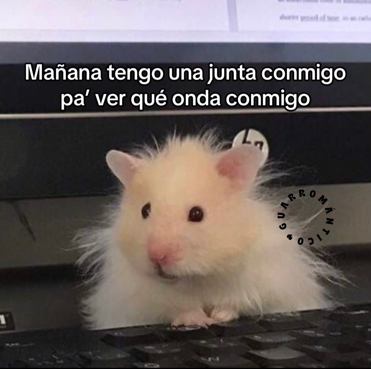 El Guarromántico tweet media