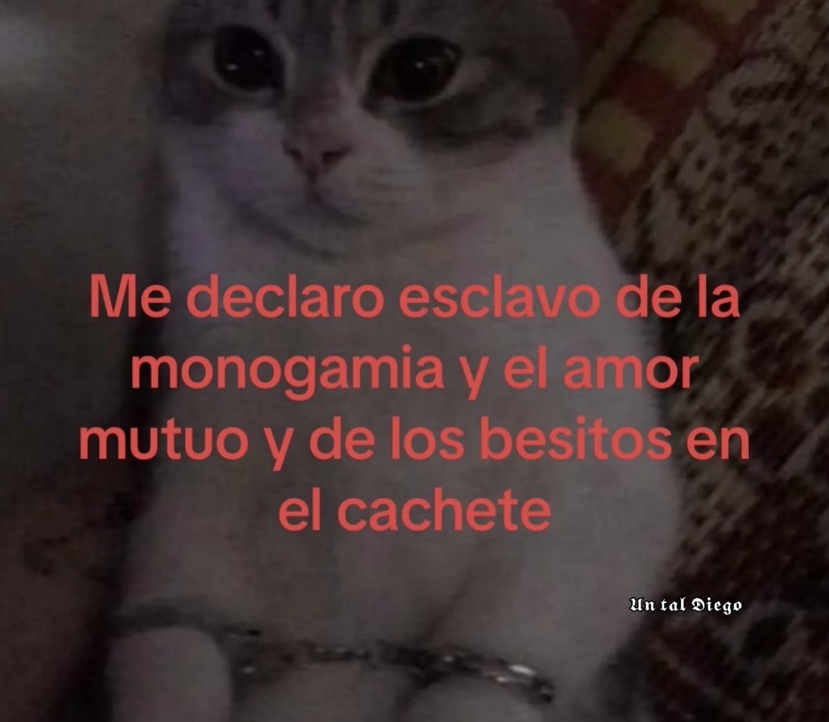 En Júpiter (@en_jupiter_) on Twitter photo 