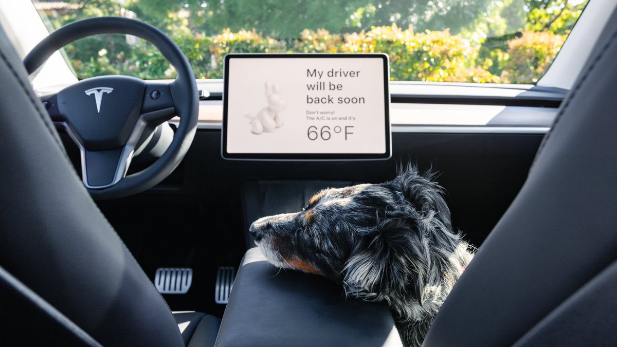 Tesla tweet picture