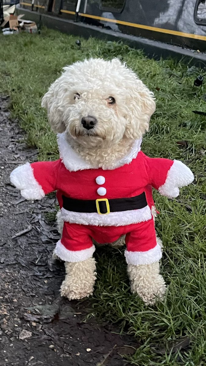 ☕️🫖🥓🍕🍦Wobbly Boater 🍦🍕🥓🫖☕️ tweet media