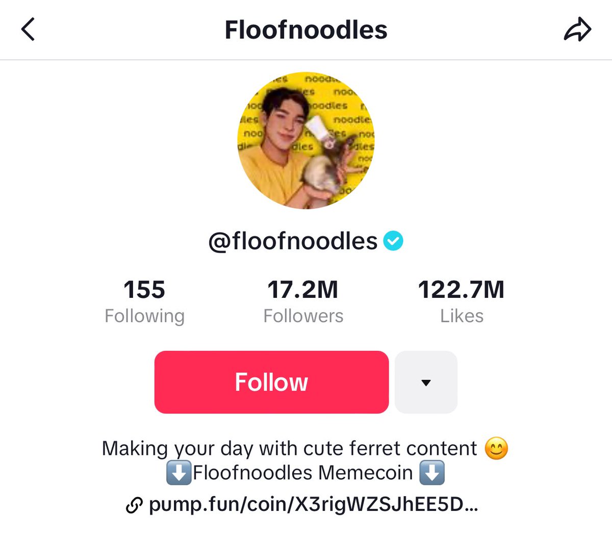 It is insane that most people are not aware of $floof <a href="/Floof_Noodles/">$FLOOF</a> 

- 17m followers on Tik Tok
- hundreds of thousands of Instagram followers
- both pages show pump fun link as its memecoin
-cute
- past the initial huge correction

Might be something to watch as liquidity goes