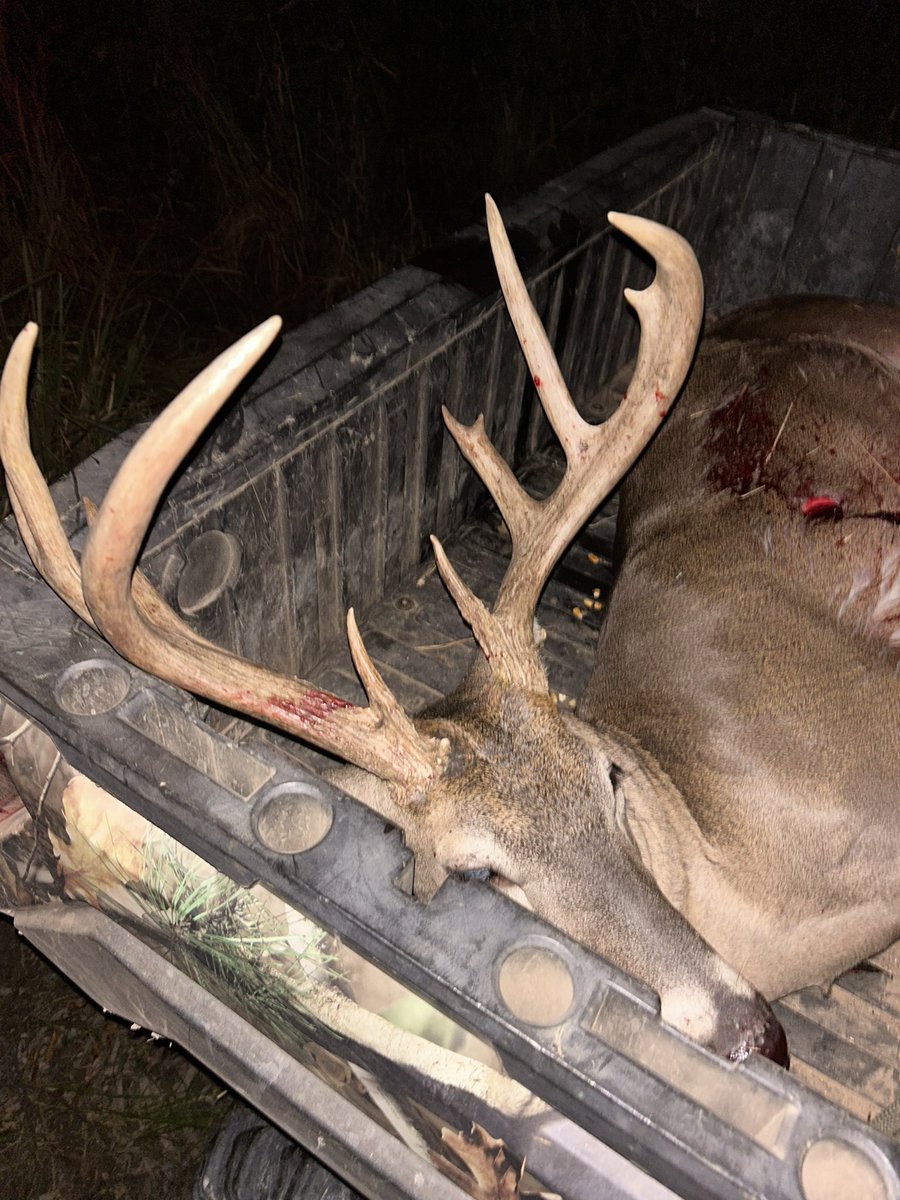 Tilly Freeman tweet media