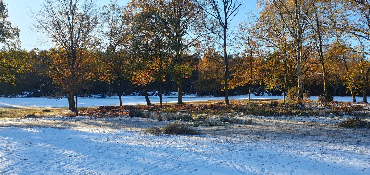 Oliver Pate tweet media