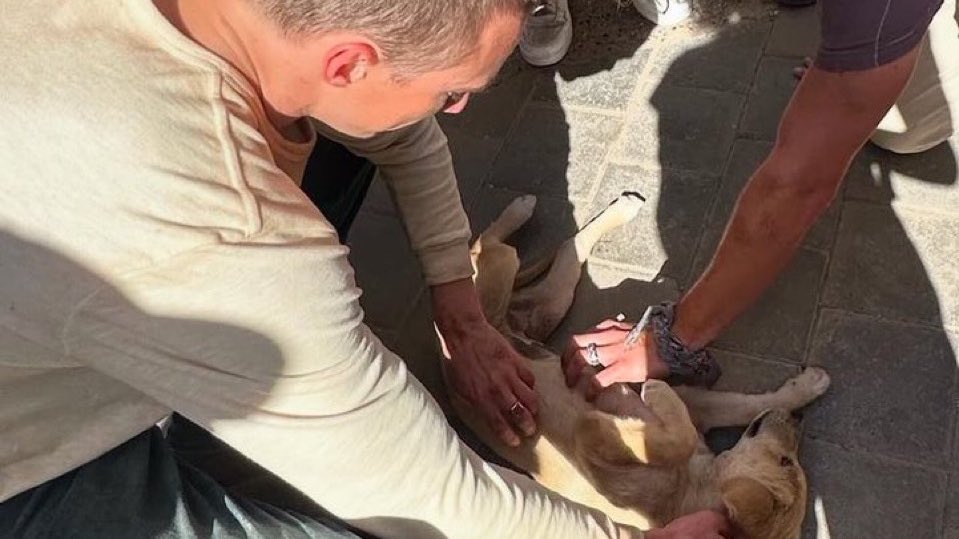 rafefode's tweet image. drew starkey the man that YOU ARE.