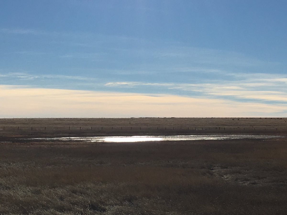 Job alert! Closes 12/20. Research Ecologist/Wildlife Biologist and Assistant Unit Leader at the Missouri CRU. Wildlife species &amp; wetland ecosystems. Serves as graduate faculty <a href="/Mizzou/">Mizzou</a>

usajobs.gov/job/820175500?…