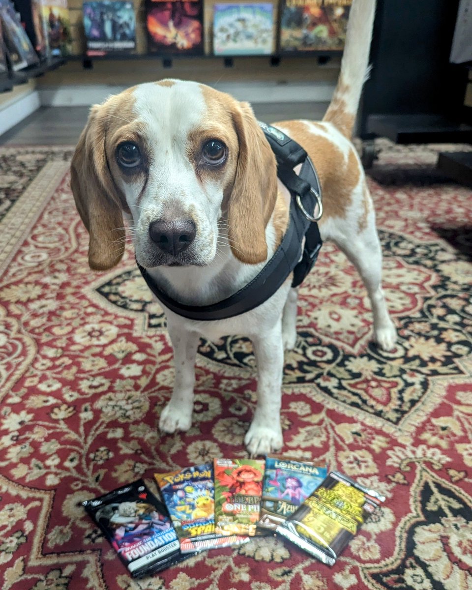ABgames's tweet image. It's PACK THURSDAY! all booster packs on sale today!

Thursday night events:
Pokemon League 4pm-6pm
Commander at 6pm

Never Back Down

#localgamestore #eugeneoregon #shopdog #surgingsparks #azuritesea #mtgfoundations #onepiecetcg #yugiohtcg