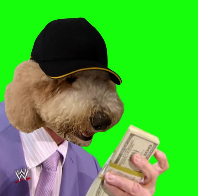fur-nancial advisor tweet media
