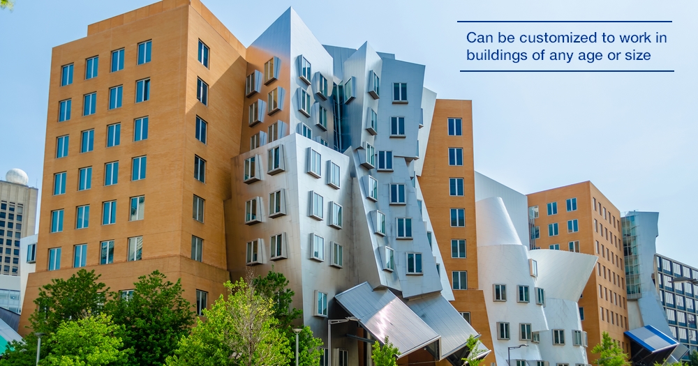 The Detection Group tweet media