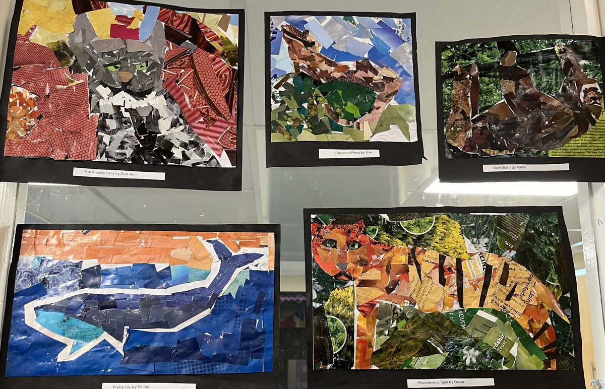 Class 4 Highfields Primary Mrs W tweet media