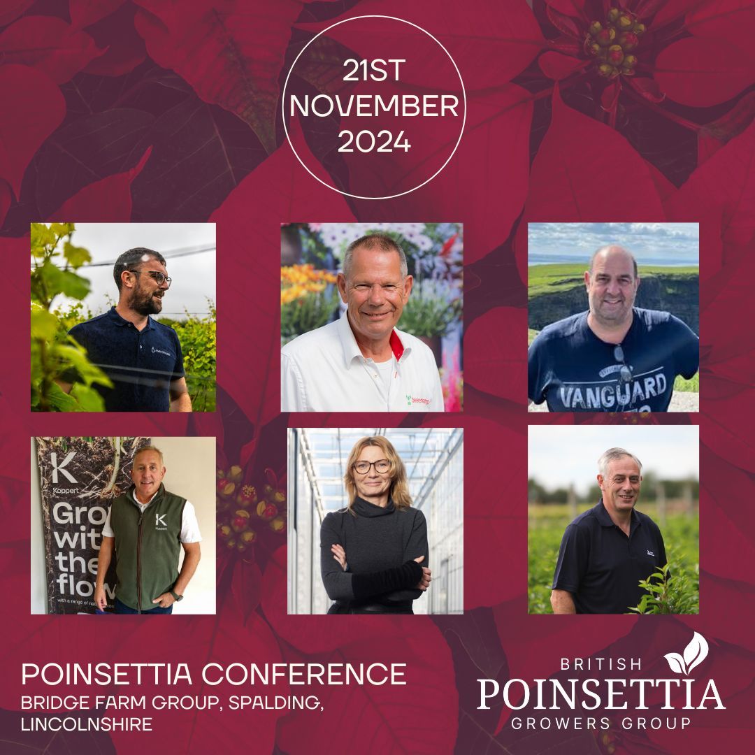 BOA British Ornamentals Association tweet media