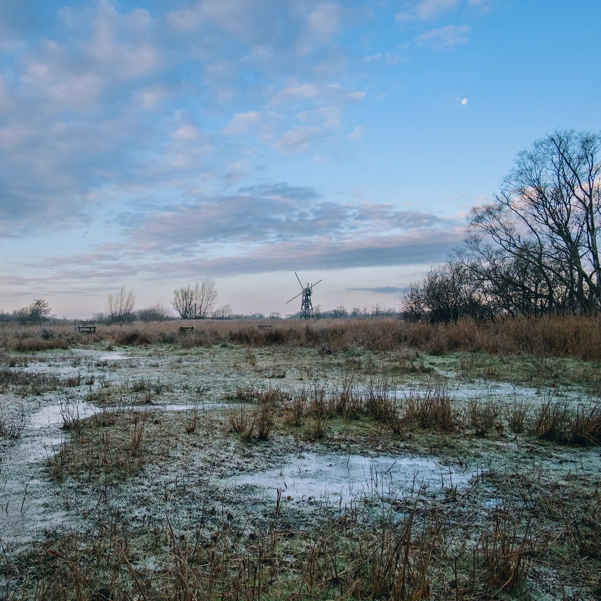BroadsNP's tweet image. This evening we're enjoying this wintry #Broads postcard view of How Hill 🩵
There's a dusting of snow on the ground with Boardman's Drainage Mill standing proud against the dusky blue winter sky. A calming scene if we ever saw one.
📷 Tom Barrett