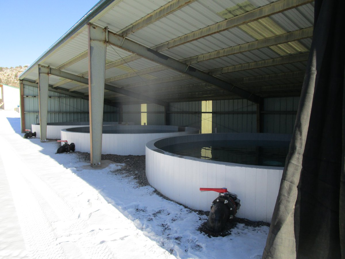 Last year, the Wyoming Game and Fish Department’s Wigwam hatchery received a major upgrade with Octaform tanks, enhancing fish health and operational efficiency.

Get the full story here:  bit.ly/WyomingWigwam