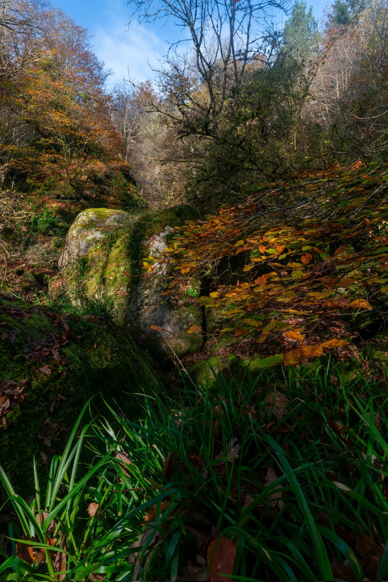 Breizhhollgaret tweet media